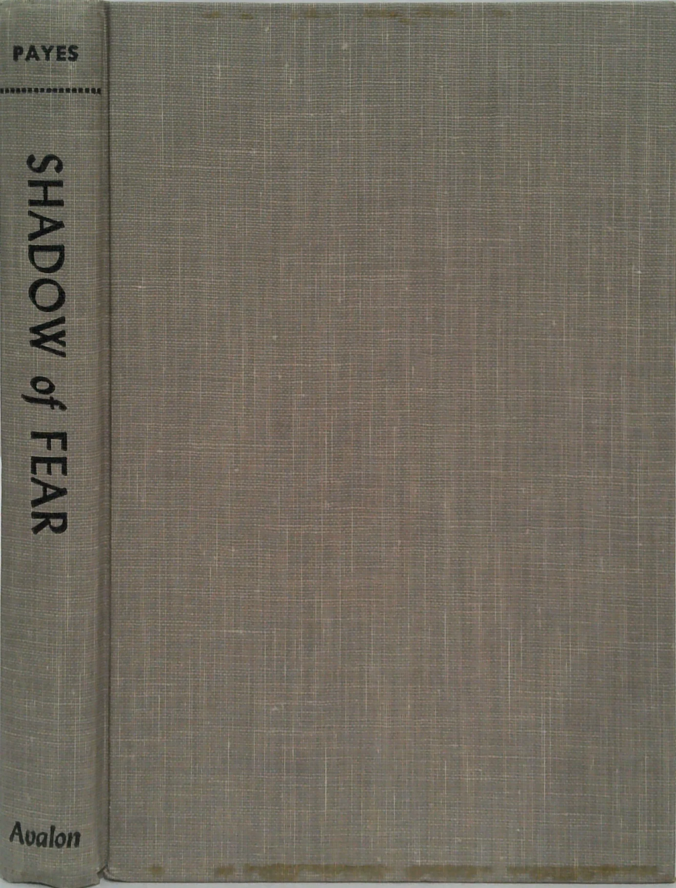 Shadow Of Fear - Image 2