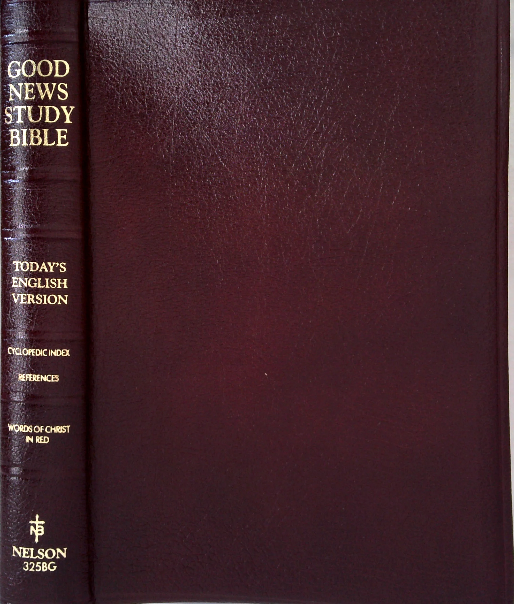 Good News Study Bible: Today's English Version - Image 2